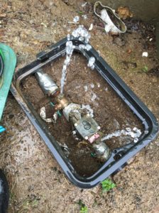 Backflow test